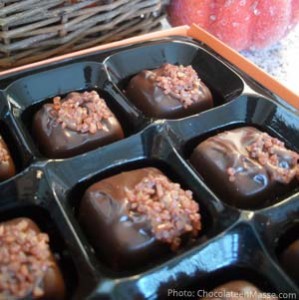 Trader Joe's Dark Chocolate Pumpkin Spice Salted Caramels | chocolateenmasse.com